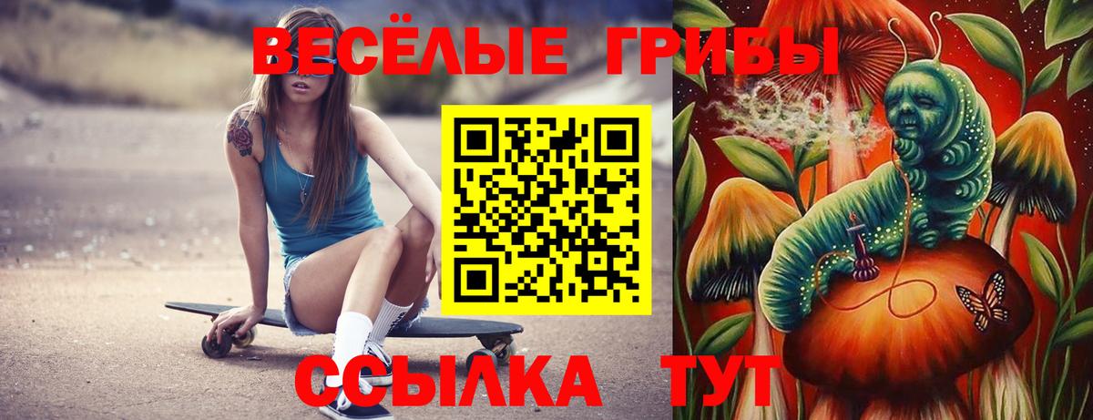 Псилоцибиновые грибы прущие грибы Тавда