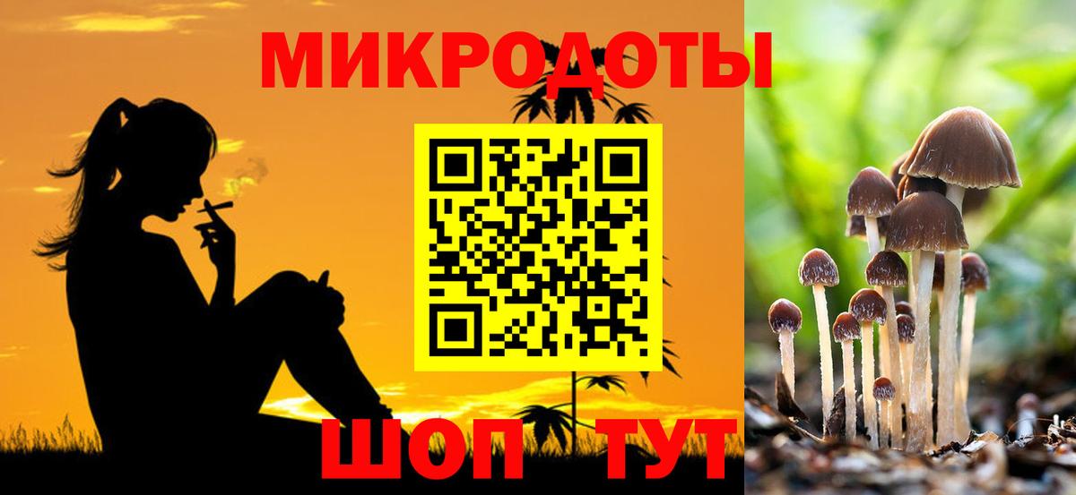 Тавда  Галлюциногенные грибы Psilocybine cubensis  Вход с VPN  Галлюциногенные грибы ЛСД 